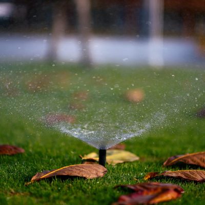 sprinkler irrigating lawn